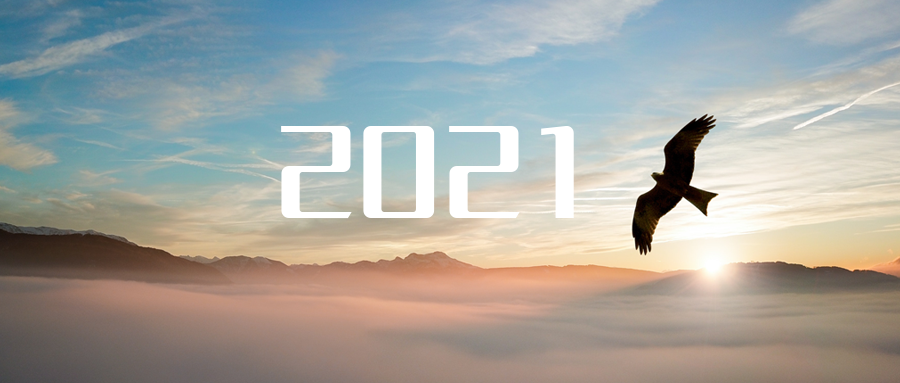 乘“峰”而上，智“盈”未來 ——2021年盈峰環(huán)境高級資深副總裁新年開工動員